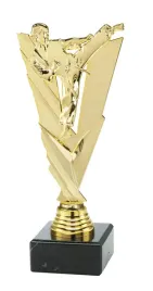 puchar-statuetka-karate-sporty-walki-aikido-sztuki-walki-grawer