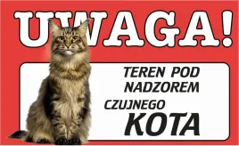 tabliczka-tablica-uwaga-kot-teren-monitorowany-prezent-gadzet-12x20cm