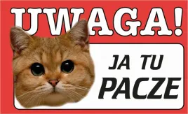 tabliczka-tablica-uwaga-kot-ja-tu-pacze-prezent-gadzet-12x20cm