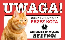 tabliczka-tablica-uwaga-kot-obiekt-chroniony-prezent-gadzet-12x20cm