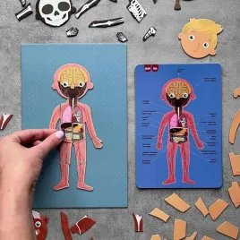 magnetyczna-ukladanka-apli-kids-cialo-czlowieka