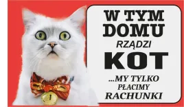 tabliczka-tablica-uwaga-kot-obiekt-chroniony-prezent-gadzet-12x20cm