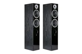 podlogowe-kolumny-stereo-wilson-raptor-7-black-para