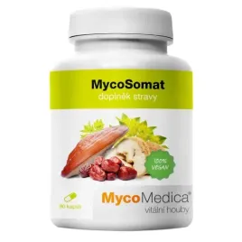 mycosomat-90-kaps-or-mycomedica