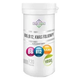 witamina-b6-b12-kwas-foliowy-120-kapsulek-18mg-600mcg-100mcg-or-soul