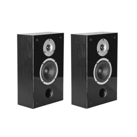 wilson-raptor-on-wall-kolumny-glosnikowe-nascienne-czarne-para