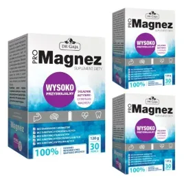 3x-promagnez-cytrynian-magnezu-100percent-rws-120g-30-saszetek-magnez-saszetki