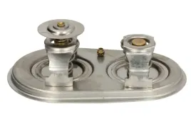 tv-244-89-96-termostat-srodka-chlodzacego-thermotec