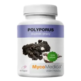polyporus-90-kaps-or-mycomedica