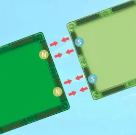 klocki-magnetyczne-kreatywne-magnetic-tiles-konstrukcyjne-zoo-50-elementow