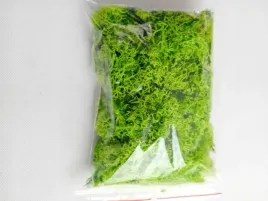mech-chrobotek-jasno-zielony-nie-oczyszczony-100g