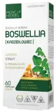 boswellia-medica-herbs