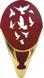 azurowy-zloto-czerwonym-puchar-wyscig-golebi-pocztowych-pzhgp-48-cm-grawer