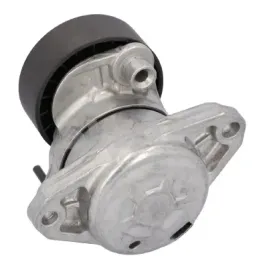 sw10928149-napinacz-paska-wielorowkowego-pasuje-do-mercedes-c-cl203-c