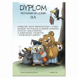 dyplom-pasowania-na-ucznia-a4-bn67