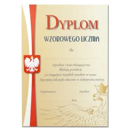 dyplom-wzorowego-ucznia-ze-zloceniem-a4