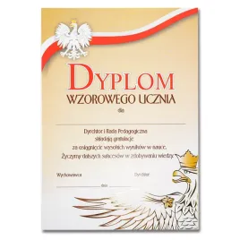 dyplom-wzorowego-ucznia-ze-zloceniem-a4