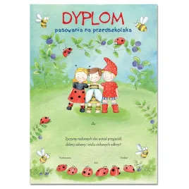 dyplom-pasowania-na-przedszkolaka-an116
