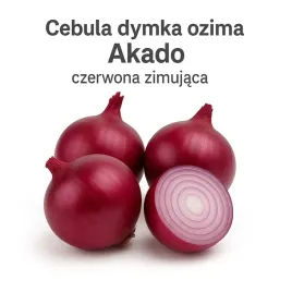 cebula-dymka-ozima-akado-250-g-czerwona-zimujaca-do-sadzenia-jesienia