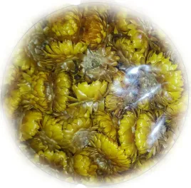 kocanka-ogrodowa-zolta-80-gram-150-szt-sucholuska-suszki-kwiaty-na-dozynki