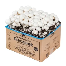 grzybnia-pieczarki-bialej-5kg-kompletny-zestaw-xxl-7w1-instrukcja