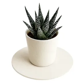 podstawka-podkladka-pod-doniczke-kwiatki-srednica-20cm-pvc-matowa