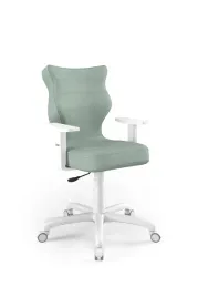 entelo-krzeslo-fotel-obrotowy-ergonomiczny-do-biura-domu-arco-r-6-mieta