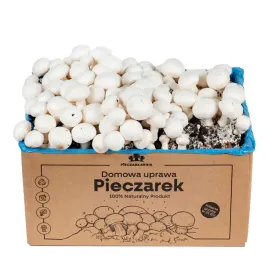 domowa-uprawa-pieczarek-grzybnia-8kg-100percent-ekologiczne-instrukcja-gratis