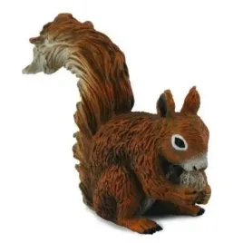 wiewiorka-czerwona-jedzaca-collecta