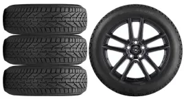 nowe-kola-zima-opel-astra-l-6-gen-f-riken-205-55r16-4