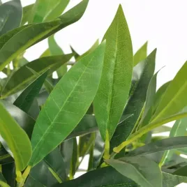 vidaxl-sztuczne-drzewko-laurowe-z-doniczka-125-cm-zielony