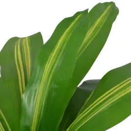 vidaxl-sztuczna-dracena-z-doniczka-90-cm-zielona