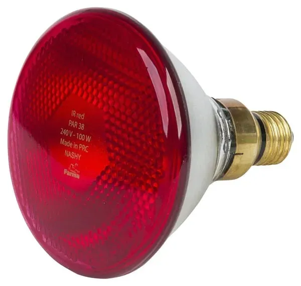 promiennik-par-175w-czerwony