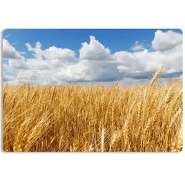 podkladka-mata-40x60-sztywna-or-na-biurko-mebel-styl-nadruk-ochronna-trwala