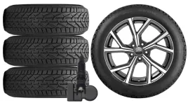 nowe-kola-zima-byd-dolphin-riken-205-50r17-tpms