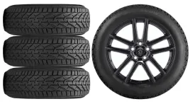 nowe-kola-zima-peugeot-partner-e-riken-205-55r17-3