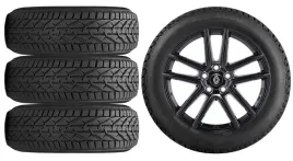 nowe-kola-zima-renault-clio-rja-riken-195-55r16-4