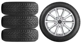 nowe-kola-zima-audi-a3-sportback-gy-riken-205-50r17-3