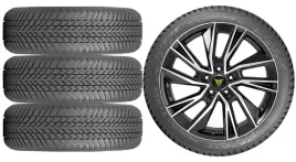 nowe-kola-zima-cupra-tavascan-kr-nokian-255-40r21