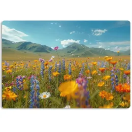 podkladka-mata-40x60-sztywna-or-na-biurko-mebel-ochronna-styl-nadruk-trwala
