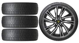 nowe-kola-zima-cupra-tavascan-kr-hankook-255-40r21