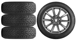 nowe-kola-zima-seat-ibiza-5-v-gen-kj-riken-195-55r16-1