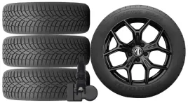 nowe-kola-zima-mg-4-seh3-toyo-215-50r17-tpms