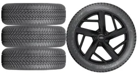 nowe-kola-zima-audi-q3-sportback-f3-nokian-255-40r20