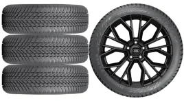 nowe-kola-zima-audi-q3-sportback-f3-nokian-255-40r20-5