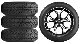 nowe-kola-zima-audi-a3-sportback-gy-riken-225-40r18-2