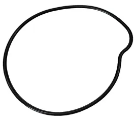 uszczelka-pompy-wody-gp1-blade-r