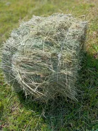 naturalne-siano-dla-krolika-gryzoni-8-kg-kostka-odrolnika-2025-paczkomat