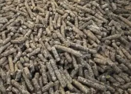 wyslodki-buraczane-niemelasowane-blaze-company-25-kg