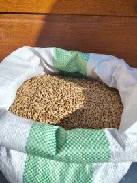 jeczmien-20-kg-pasza-naturalna-dla-koni-drobiu-krolikow-paszoland